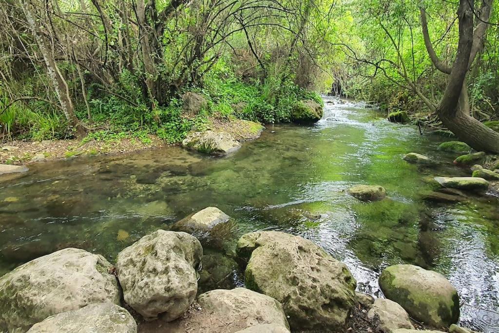 La Terracita Del Bosque Lägenhet Exteriör bild